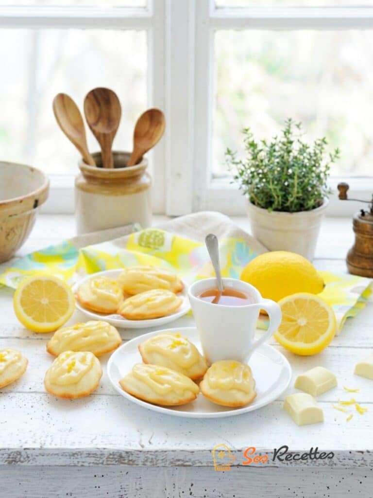 Madeleine citron chocolat blanc